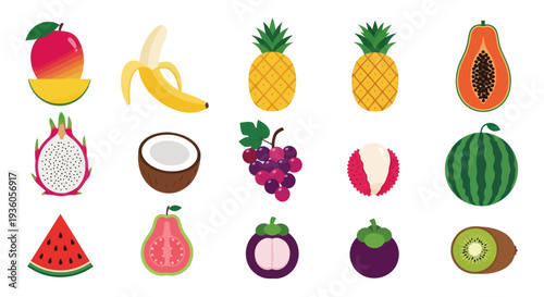 Colorful assortment of tropical fruit illustrations