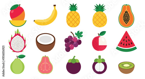 Colorful assortment of tropical fruit illustrations