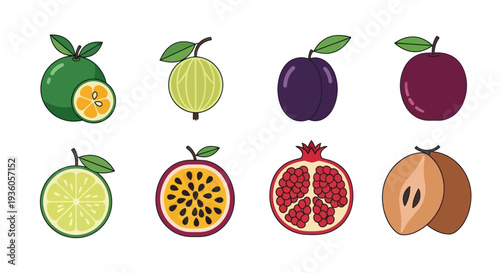 Colorful fruit collection graphic design