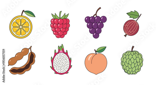 Colorful fruit collection illustration
