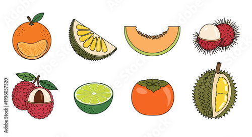 Colorful illustration of various tropical fruits