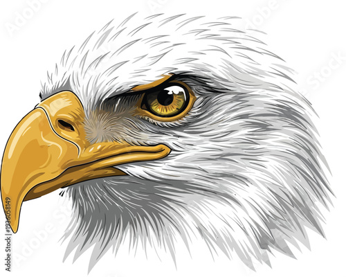 Detailed illustration of an American bald eagle head shows sharp focus on the intense yellow eye and hooked beak.