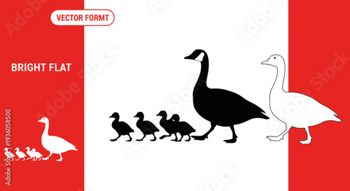 Bright Flat Goose Family Silhouette, Vector Art