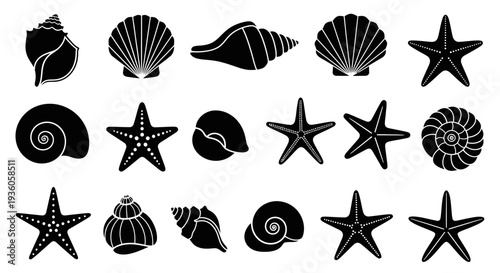 Collection of Black Silhouette Seashells and Starfish Vector Icons