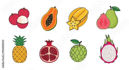 Colorful tropical fruit set illustration