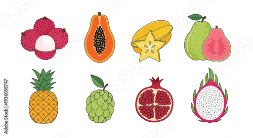 Colorful tropical fruits vector illustration