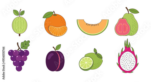 Colorful vector fruits collection isolated