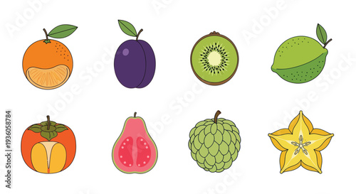 Colorful vector illustration of various fruits