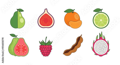 Colorful vector illustration of various fruits
