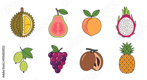 Colorful vector illustrations of various fruits