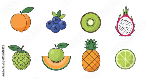 Colorful vector illustrations of various fruits