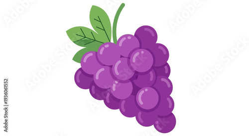 Bunch of purple grapes with green leaves simple illustration