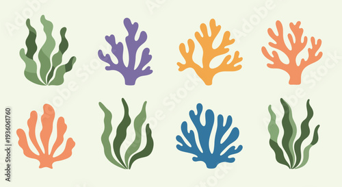 Colorful Coral Icons