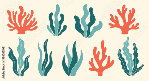 Coral and Seaweed Clipart