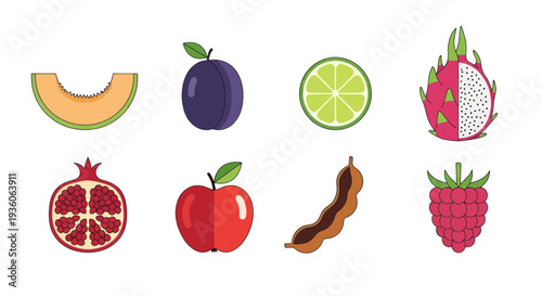 Assorted fruits illustrations on white background