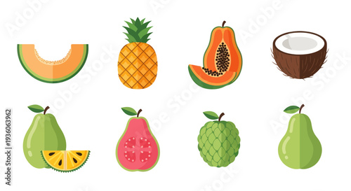 Assorted tropical fruit collection illustration