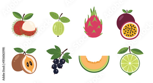 Assorted tropical fruits illustration