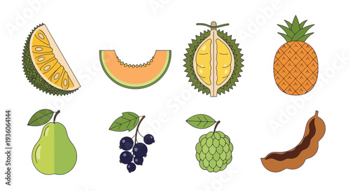 Assortment of colorful tropical fruits