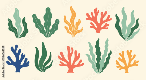 Colorful Coral Collection