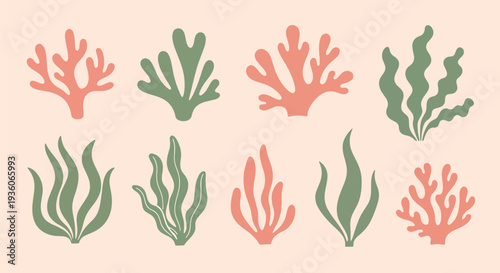 Coral and Seaweed Clipart