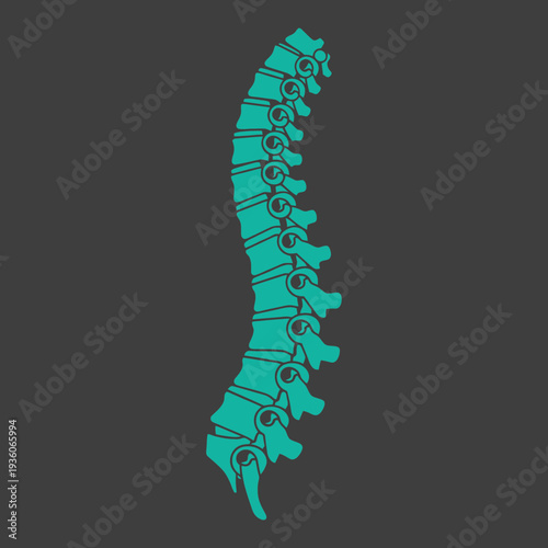 Stylized illustration of a human spine in teal on a dark background.