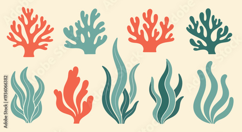 Coral Reef Elements