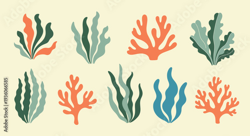 Colorful Seaweed Clipart Set