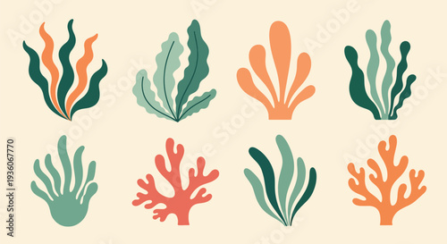 Colorful Coral and Seaweed Set