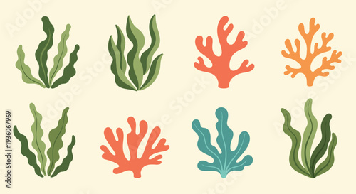 Colorful Coral and Seaweed Set