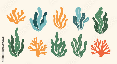 Vibrant Coral Collection