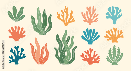 Colorful Coral Elements