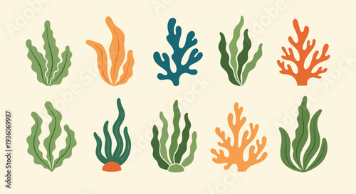 Colorful Coral and Seaweed Set