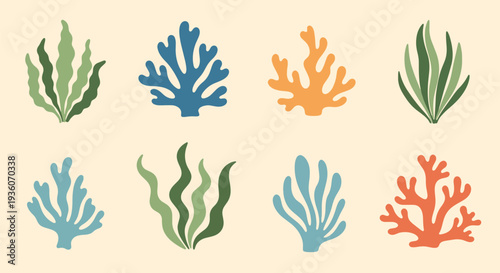 Colorful Coral and Seaweed Collection