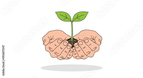 Hands cradling a small seedling with green leaves and soil, nurturing growth and new life