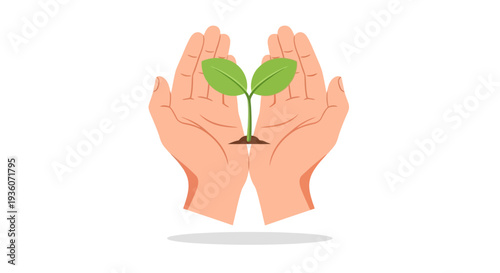 Hands cradling a small green plant with leaves, symbolizing care and nurturing in a gentle gesture