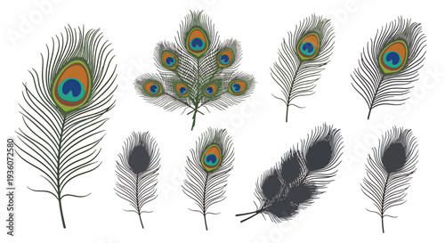 Peacock Feathers Set