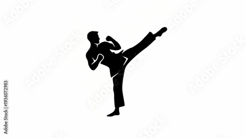 Silhouette of a martial artist performing a dynamic side kick.