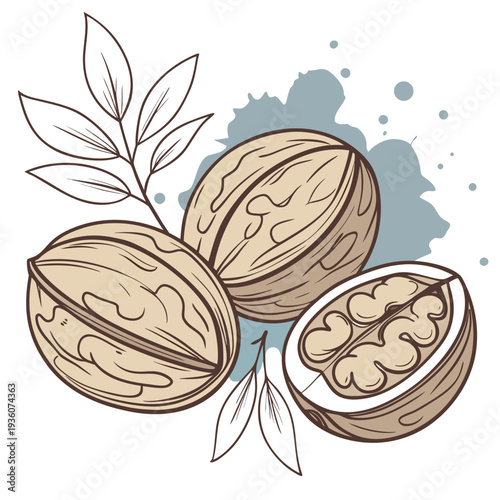 Three walnuts with textured shells and halved kernel revealing brain-like pattern with walnut leaves