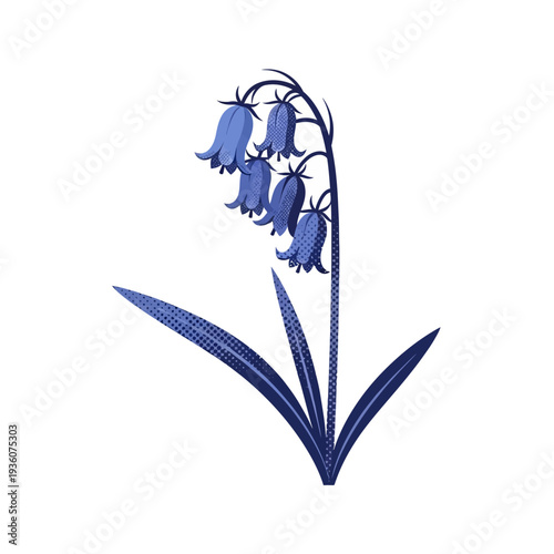 Vector illustration of a vibrant bluebell plant with delicate, drooping blossoms and elegant leaves, capturing the essence of spring flora in a graphic, clean style for botanical designs