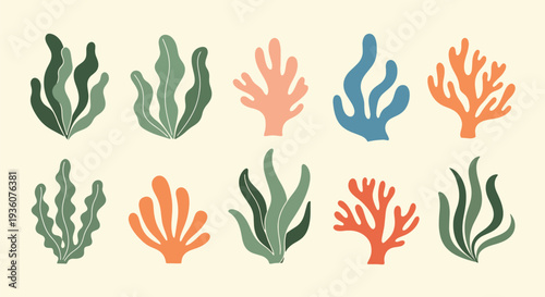 Colorful Coral and Seaweed Clipart