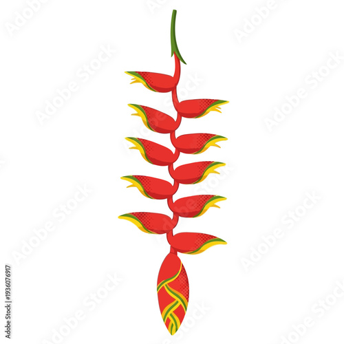 Vibrant Vector Illustration of a Hanging Heliconia Flower, Tropical Plant, Exotic Bloom, Bright Red and Yellow Petals, Green Stem, Isolated on White Background, Tropical Flower