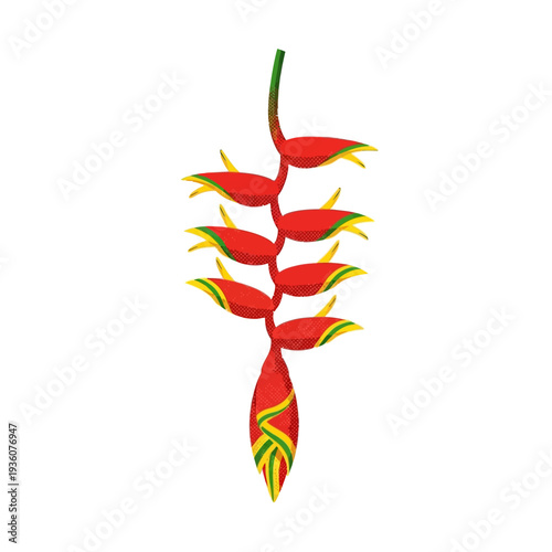 Vibrant tropical Heliconia flower vector illustration, commonly known as lobster claw, a beautiful exotic plant with red and yellow bracts, isolated botanical design element for nature projects