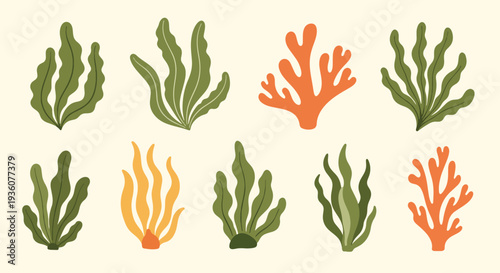 Assorted Seaweed and Coral Collection