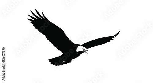Eagle Silhouette in Flight