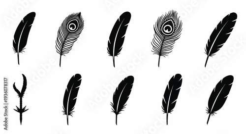 Collection of Feather Icons