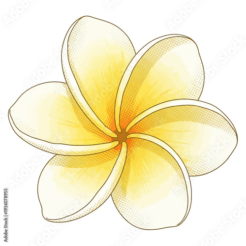 Exotic yellow and white Plumeria frangipani flower Vector illustration with a vibrant tropical blossom design, showcasing elegant petals and dotted texture for graphic projects