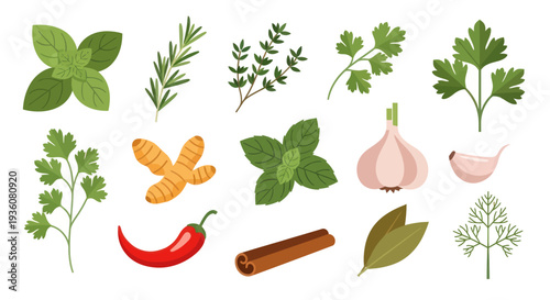 Culinary herbs and spices collection