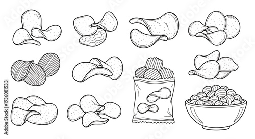Cashew Nuts Illustrations