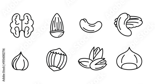 Nut and Seed Outlines
