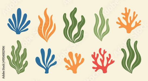 Colorful Coral and Seaweeds Set